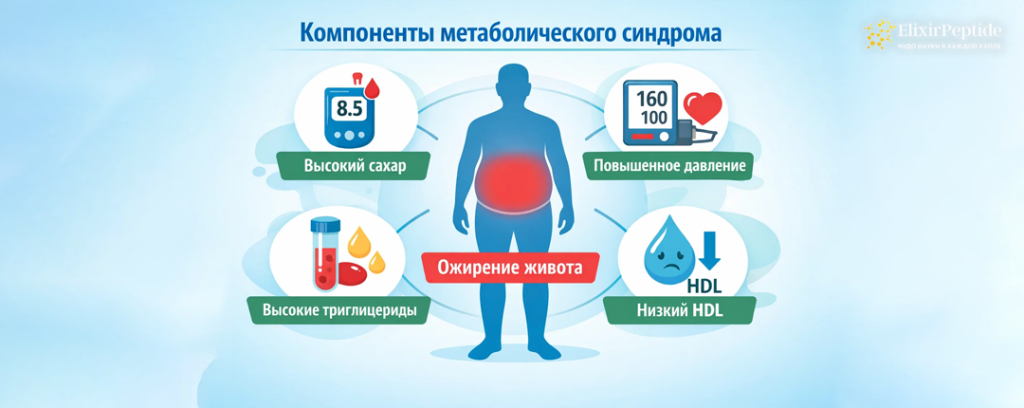 Что входит в метаболический синдром.png